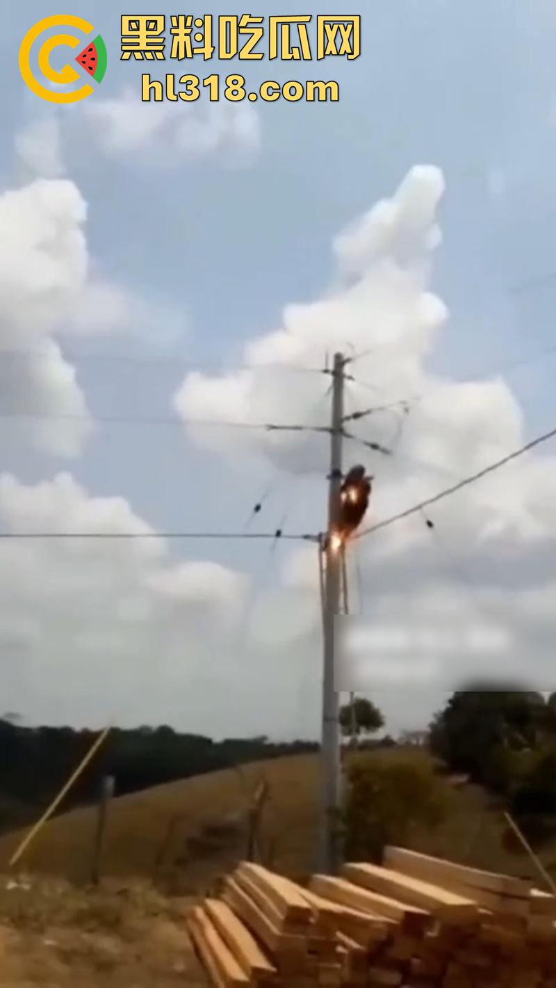 美国农场高压触电事故，农场主找来电工偷电，结果电工操作失误，竟直接当场电熟 现场画面流出！  第1张