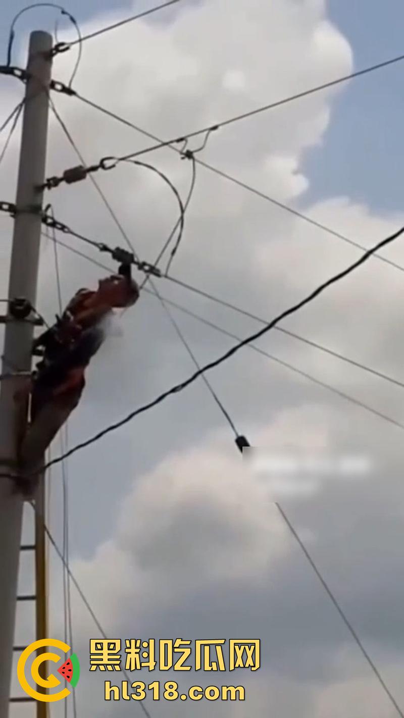 美国农场高压触电事故，农场主找来电工偷电，结果电工操作失误，竟直接当场电熟 现场画面流出！  第4张