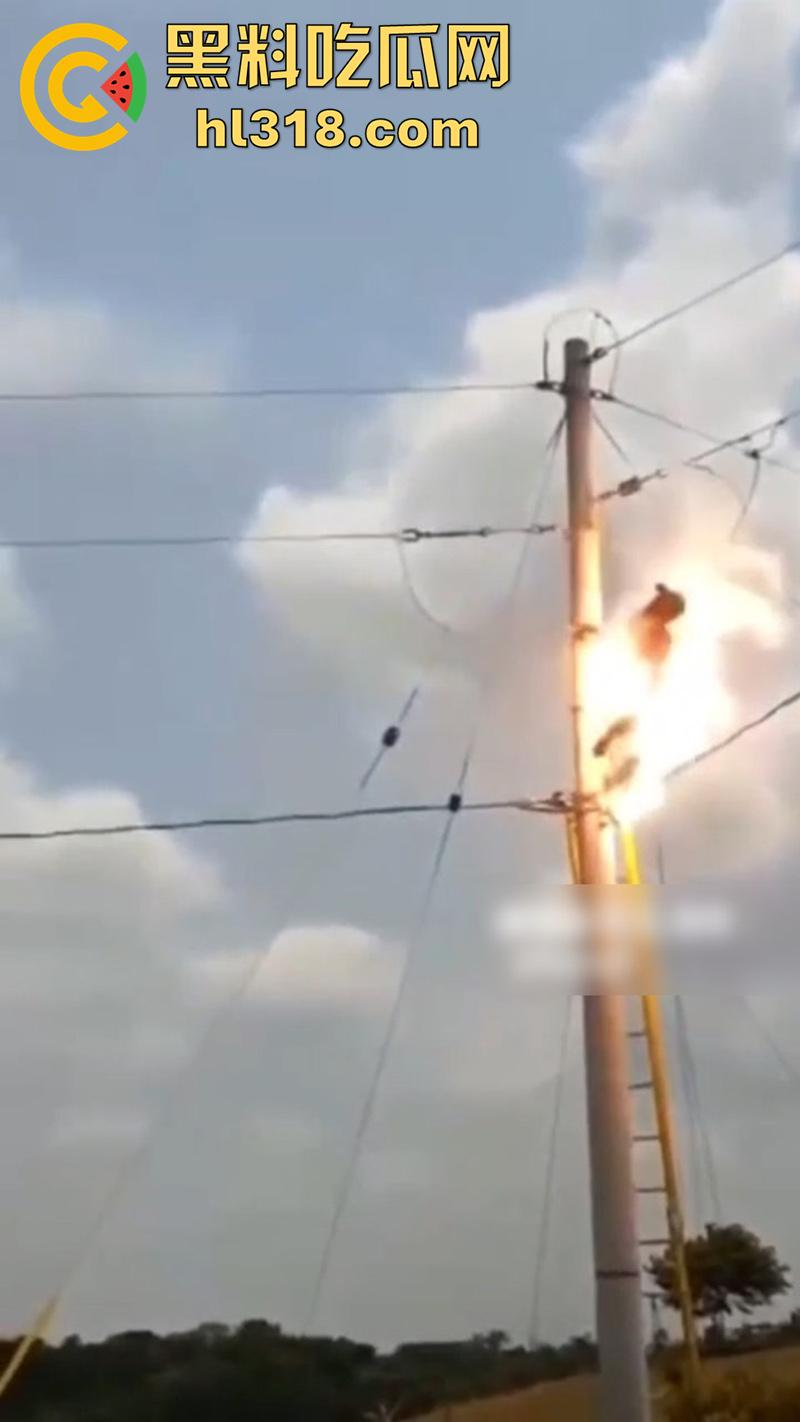 美国农场高压触电事故，农场主找来电工偷电，结果电工操作失误，竟直接当场电熟 现场画面流出！  第5张