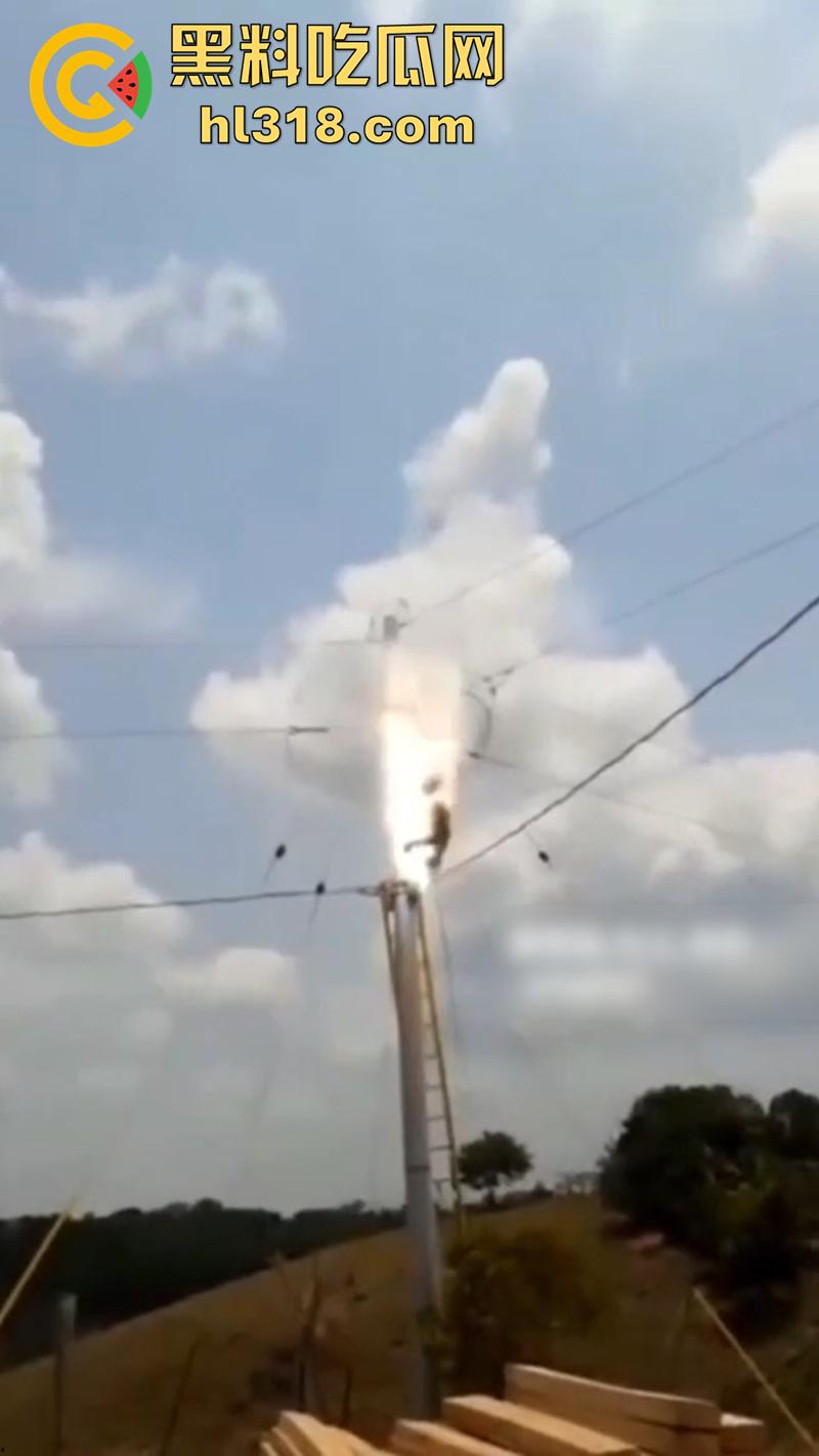 美国农场高压触电事故，农场主找来电工偷电，结果电工操作失误，竟直接当场电熟 现场画面流出！  第6张