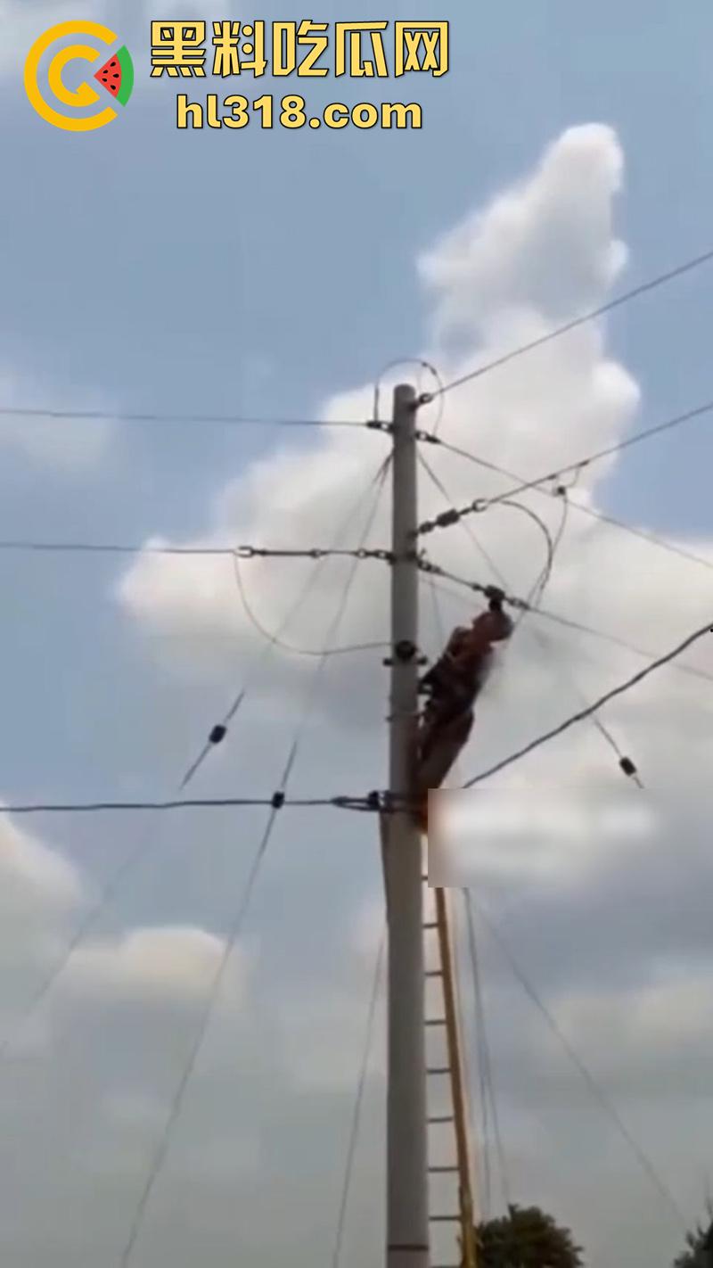 美国农场高压触电事故，农场主找来电工偷电，结果电工操作失误，竟直接当场电熟 现场画面流出！  第7张
