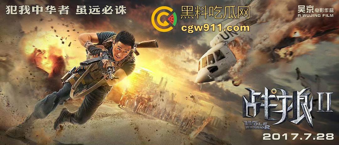 动作影视巨星【吴京】经典之作《战狼2》强势来袭！一部占了天时地利的成功的合格商业片。  第2张