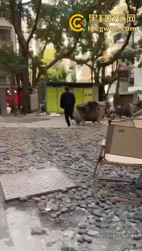 打入成都GAY圈，熊猪文化震碎三观，胖熊陪床8000块，花钱买个肉山压床？到底是什么口味？  第5张