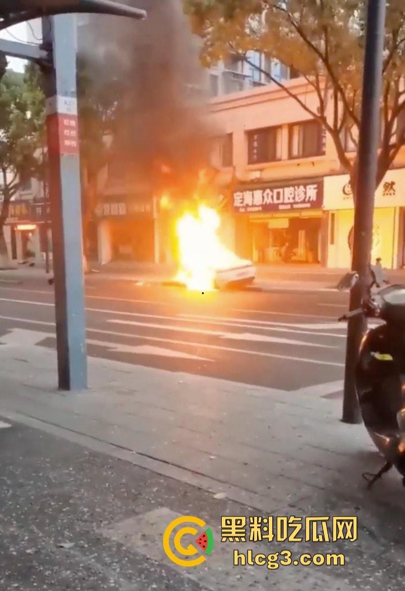 树：我没有动手啊！浙江一辆保时捷撞电动车后撞树起火驾驶人死亡！  第6张
