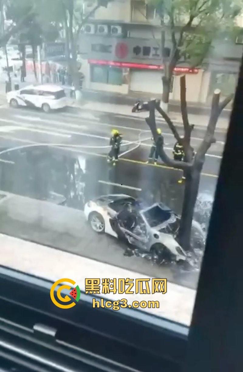 树：我没有动手啊！浙江一辆保时捷撞电动车后撞树起火驾驶人死亡！  第7张