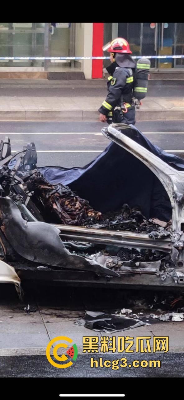 树：我没有动手啊！浙江一辆保时捷撞电动车后撞树起火驾驶人死亡！  第9张